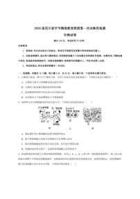 2026届四川省字节精准教育联盟高三上学期第一次诊断性检测生物试卷（有解析）