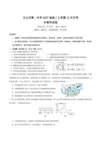 2025-2026学年云南省文山市第一中学高二上学期12月月考生物试题