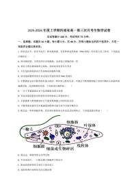 2025-2026学年河南省高一上学期第三次月考生物试卷（有答案）
