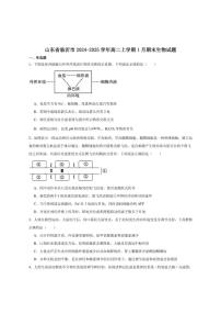 2024-2025学年山东省临沂市高二上学期期末学科素养水平监测生物试卷（有答案）