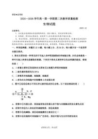2025-2026学年山东省菏泽市东明县第一中学高一上学期第二次月考生物试题（有答案）