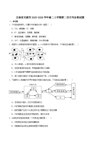 云南省玉溪市重点高中2025-2026学年高二上学期12月第二次月考试卷 生物（含答案）