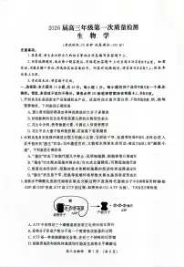 2026届河南省开封市高三一模生物试题（高考模拟）