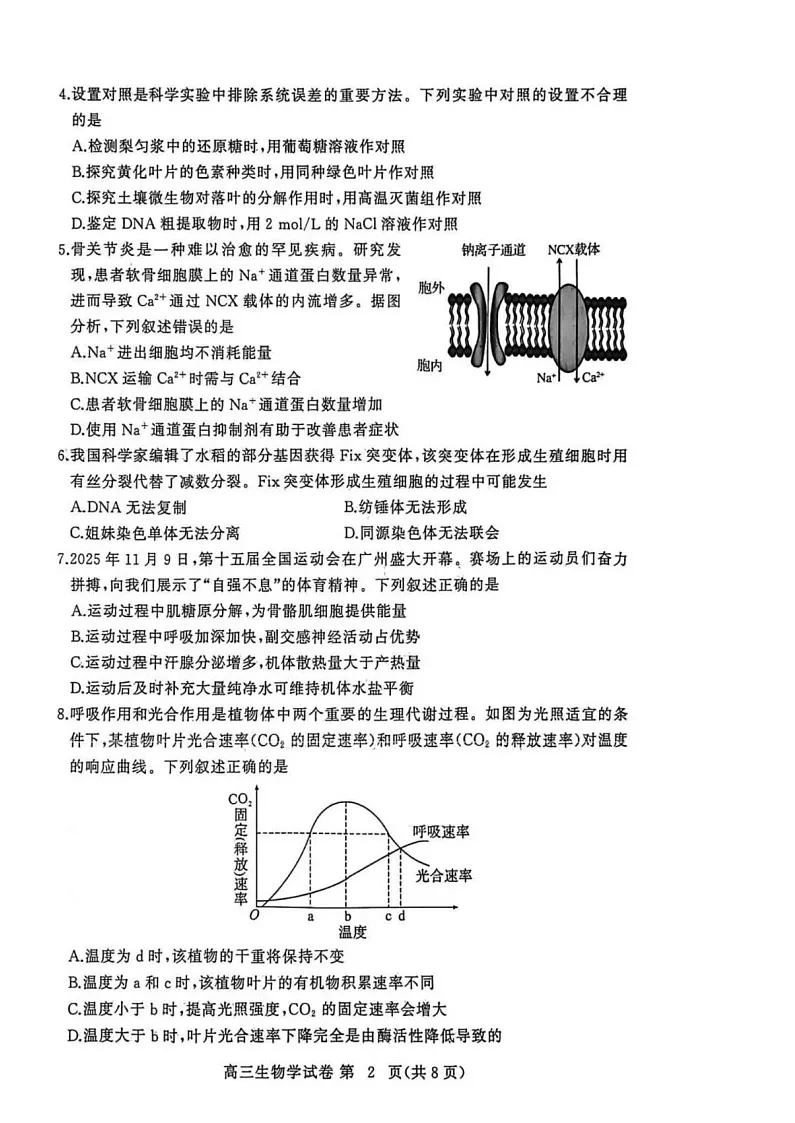 湖北省黄冈市2025-2026学年高三上学期1月期末考试生物试题第2页