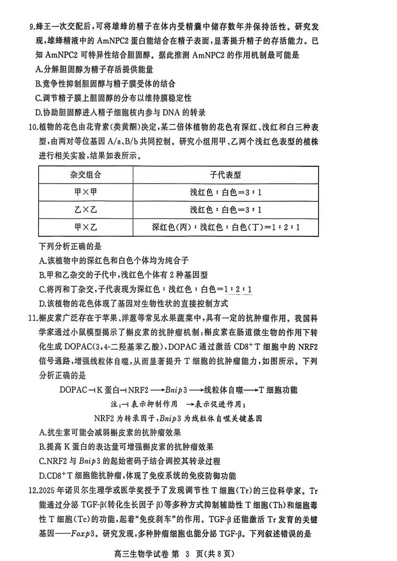 湖北省黄冈市2025-2026学年高三上学期1月期末考试生物试题第3页