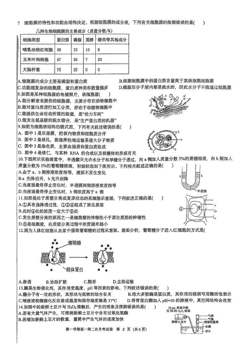陕西省铜川市第一中学2025-2026学年高一上学期第二次月考生物试卷第2页