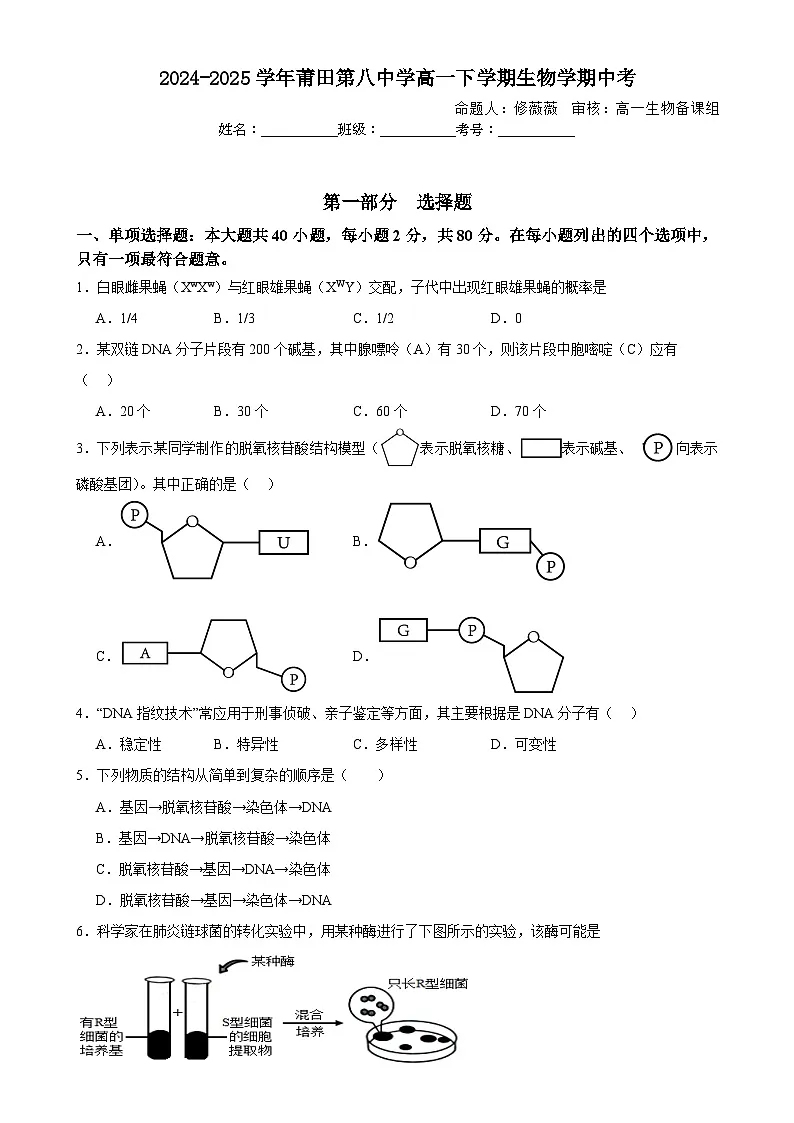 福建省莆田市荔城区莆田第八中学高一下学期期中生物练习-A4第1页