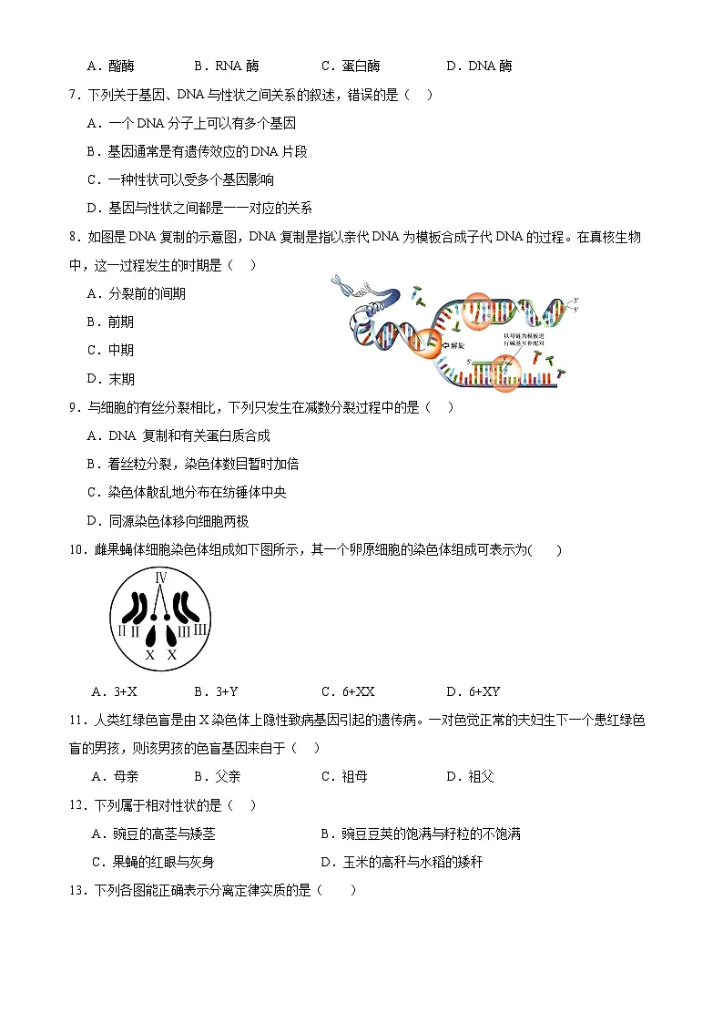 福建省莆田市荔城区莆田第八中学高一下学期期中生物练习-A4第2页