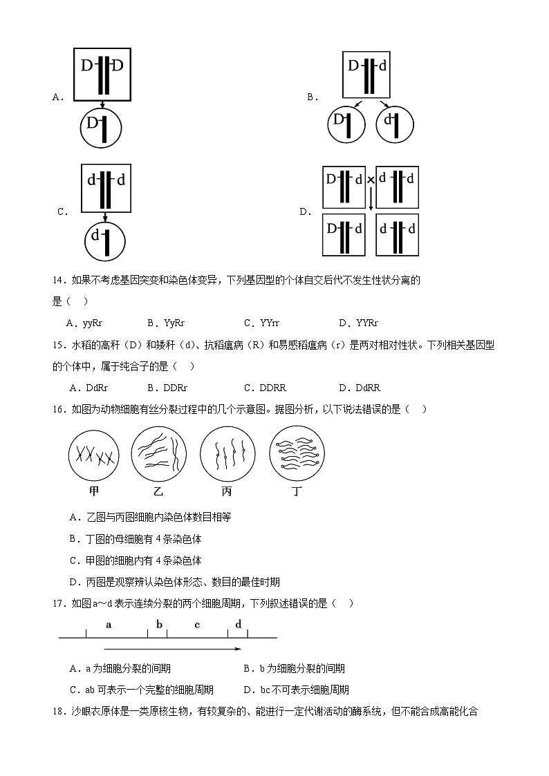 福建省莆田市荔城区莆田第八中学高一下学期期中生物练习-A4第3页