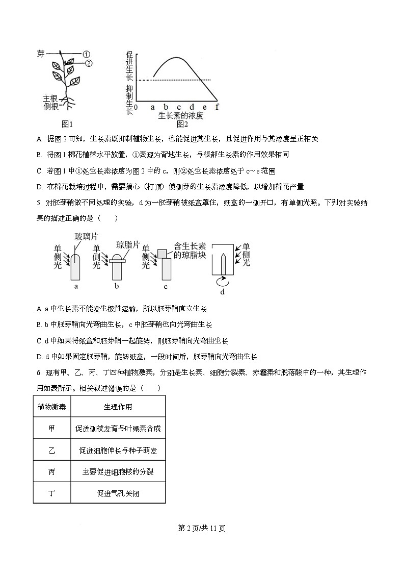 安徽省芜湖一中2025-2026学年高二上学期12月教学质量诊断测试生物试卷(原卷版)第2页