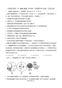 安徽省芜湖市第一中学2025-2026学年高一上学期期中生物试卷（Word版附解析）