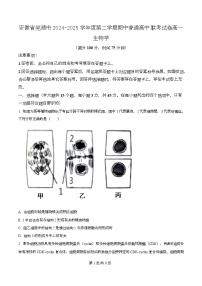 安徽省芜湖市普通高中2024-2025学年高一下学期期中联考生物试卷（Word版附解析）