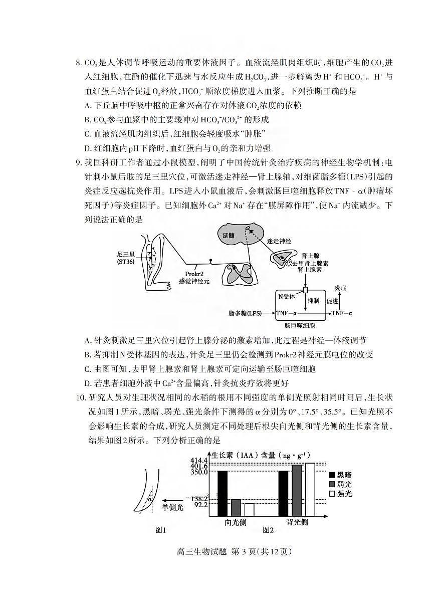 生物丨山东省泰安市2026届高三上学期1月期末考试试卷及答案第3页