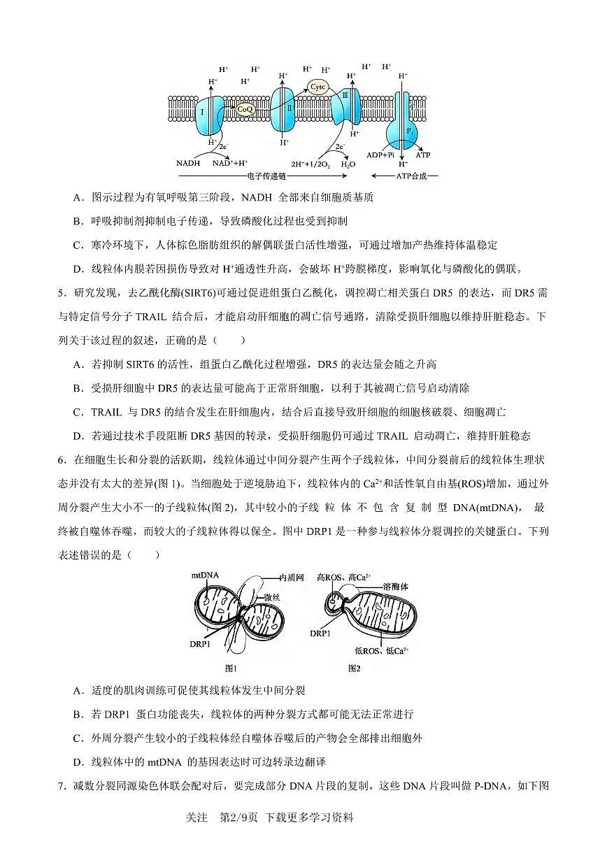 生物丨重庆市2026届高三上学期1月康德高考模拟调研卷(一)试卷及答案第2页