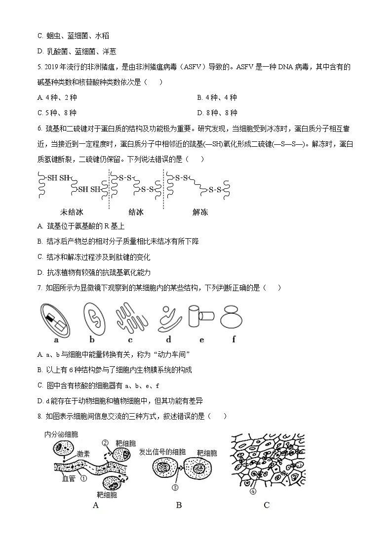 福建省宁德市柘荣县第一中学高一下学期3月月考生物试题-A4第2页