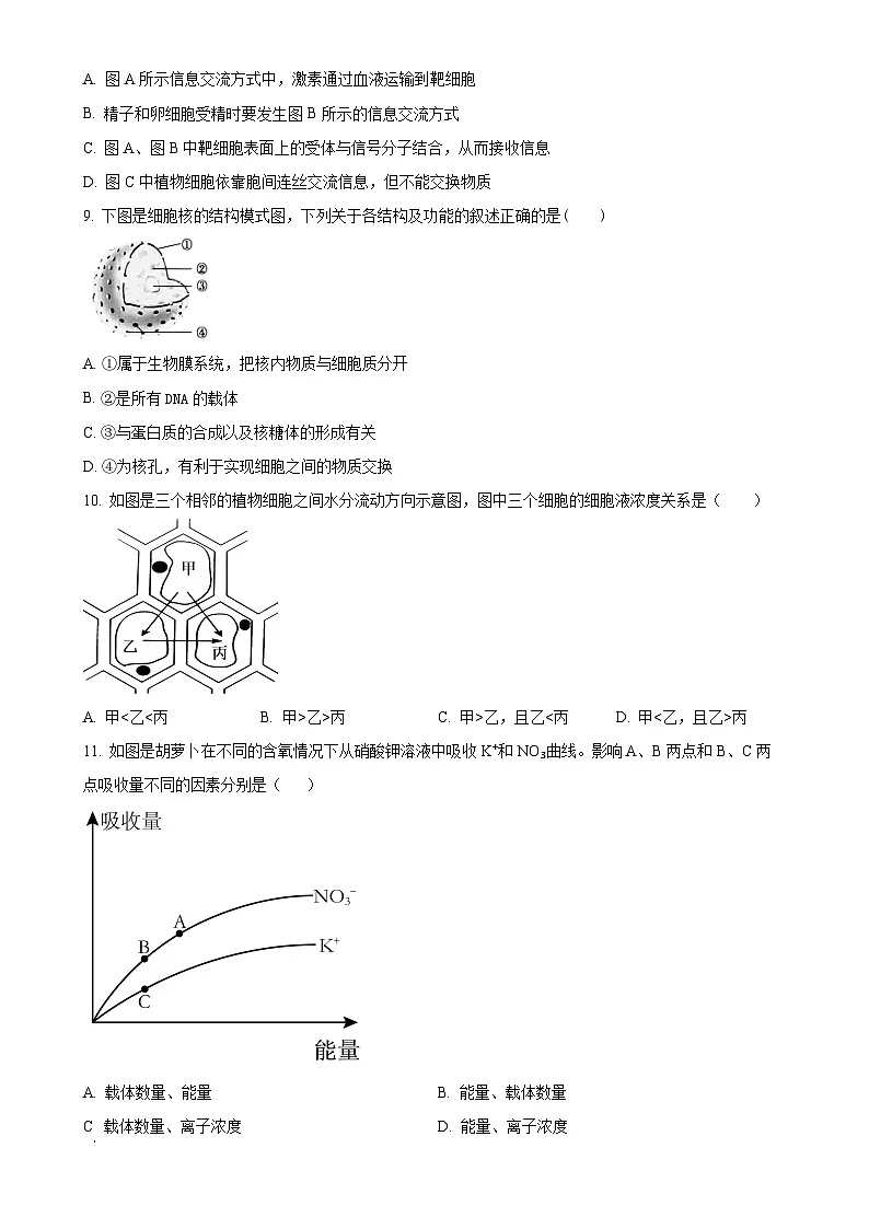 福建省宁德市柘荣县第一中学高一下学期3月月考生物试题-A4第3页