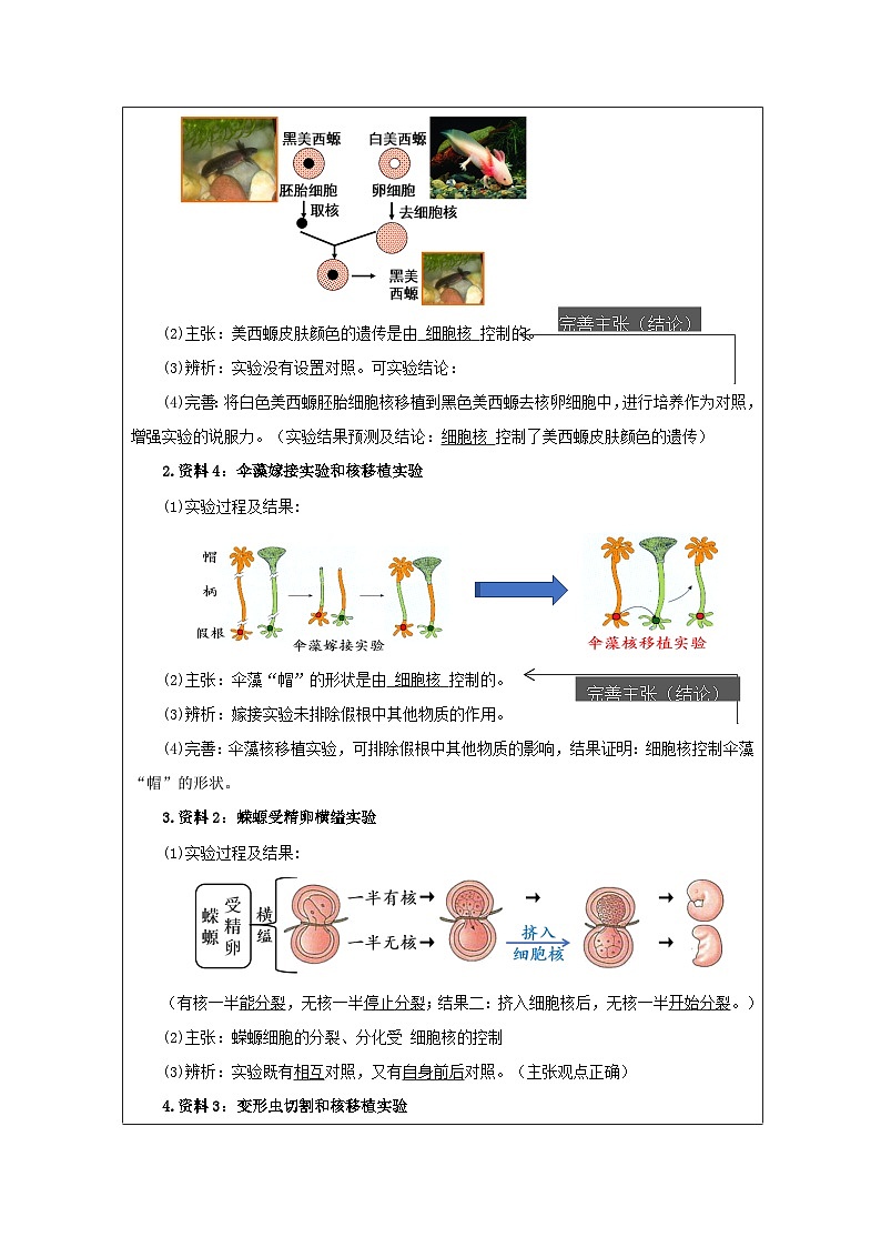 人教版高中生物学 必修1 分子与细胞3.3细胞核的结构和功能表格式教案第3页