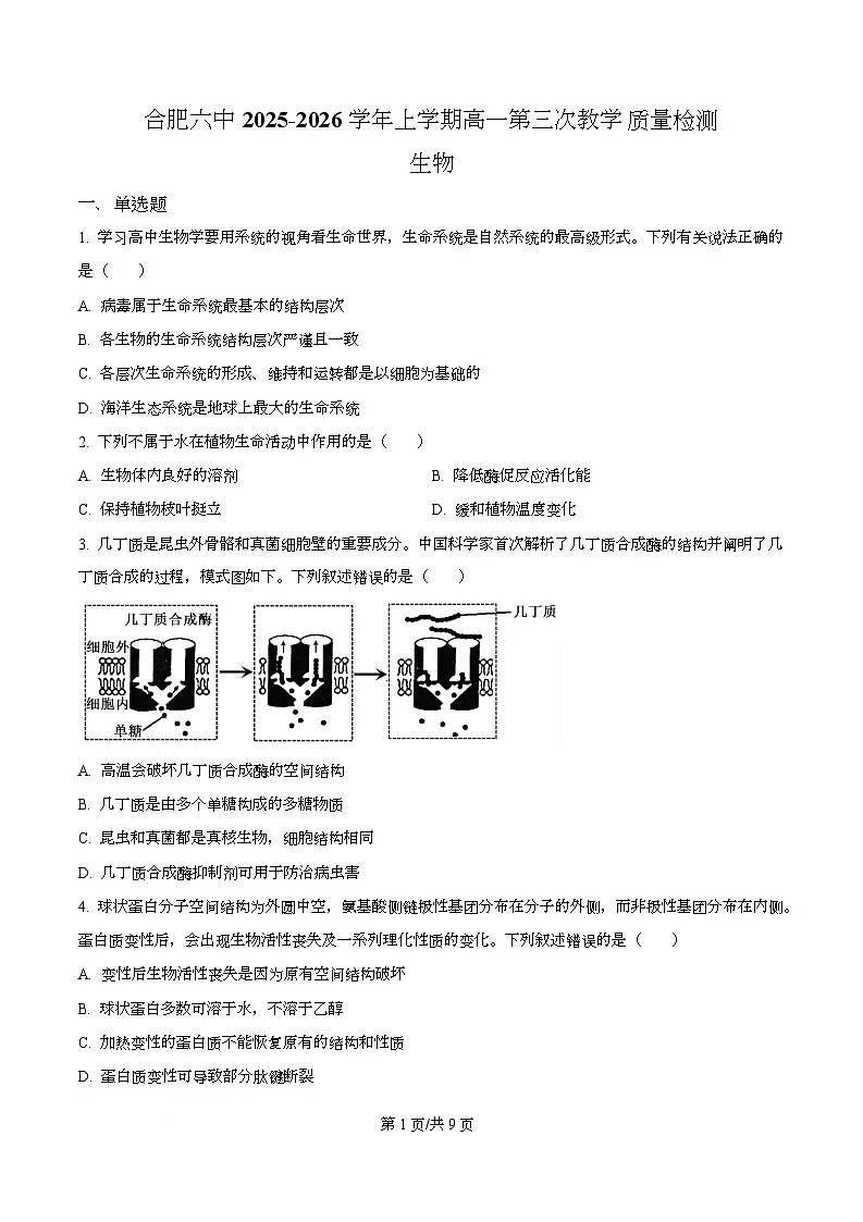安徽省合肥市第六中学2025-2026学年高一上学期第三次教学质量检测生物试题(原卷版)第1页