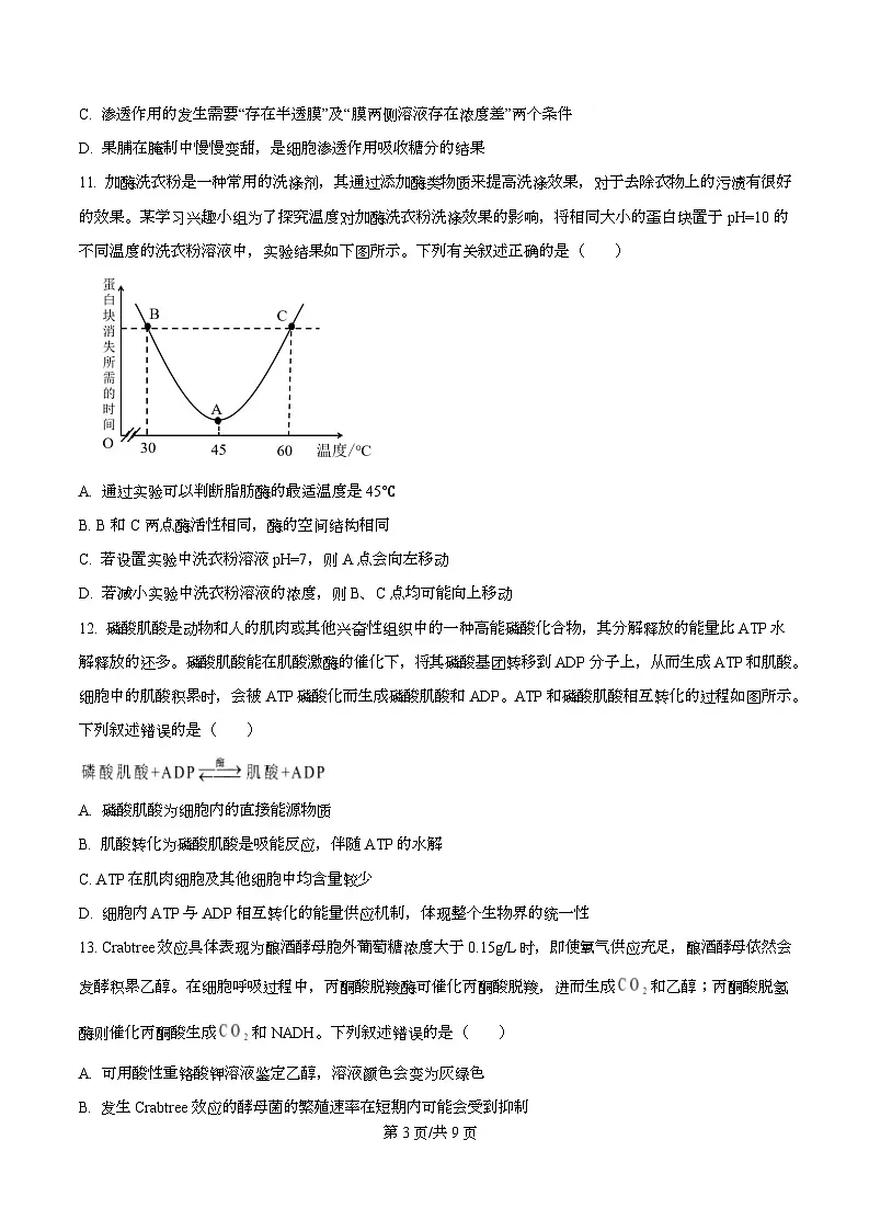 安徽省合肥市第六中学2025-2026学年高一上学期第三次教学质量检测生物试题(原卷版)第3页