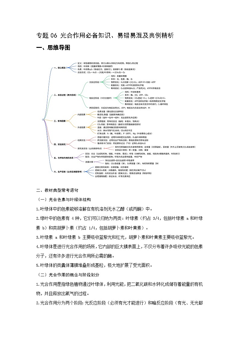 专题06 光合作用必备知识、易错易混及典例精析第1页