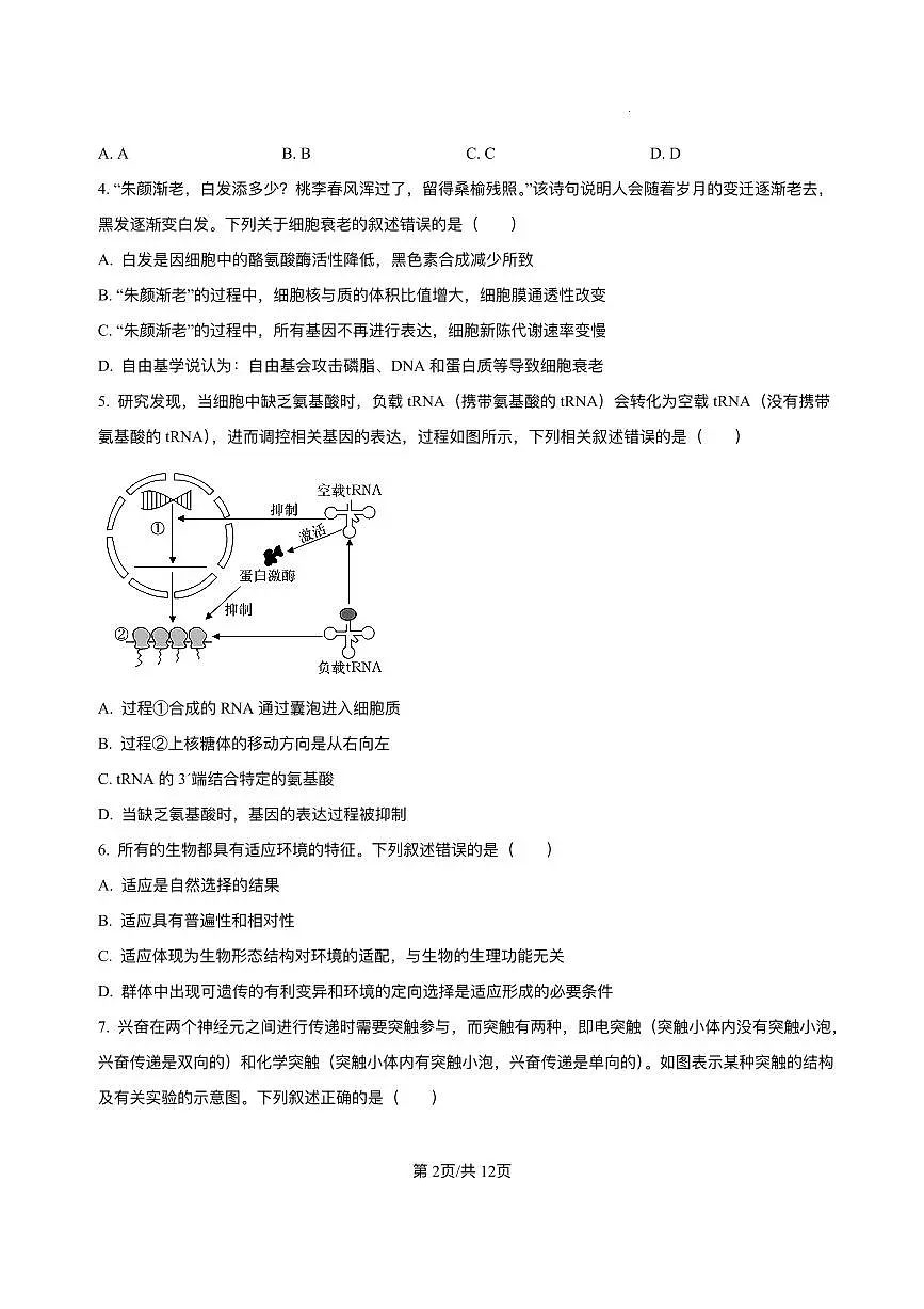 黑龙江省哈尔滨市第六中学2025-2026学年高三上学期1月期末考试生物试卷(PDF版附解析)第2页