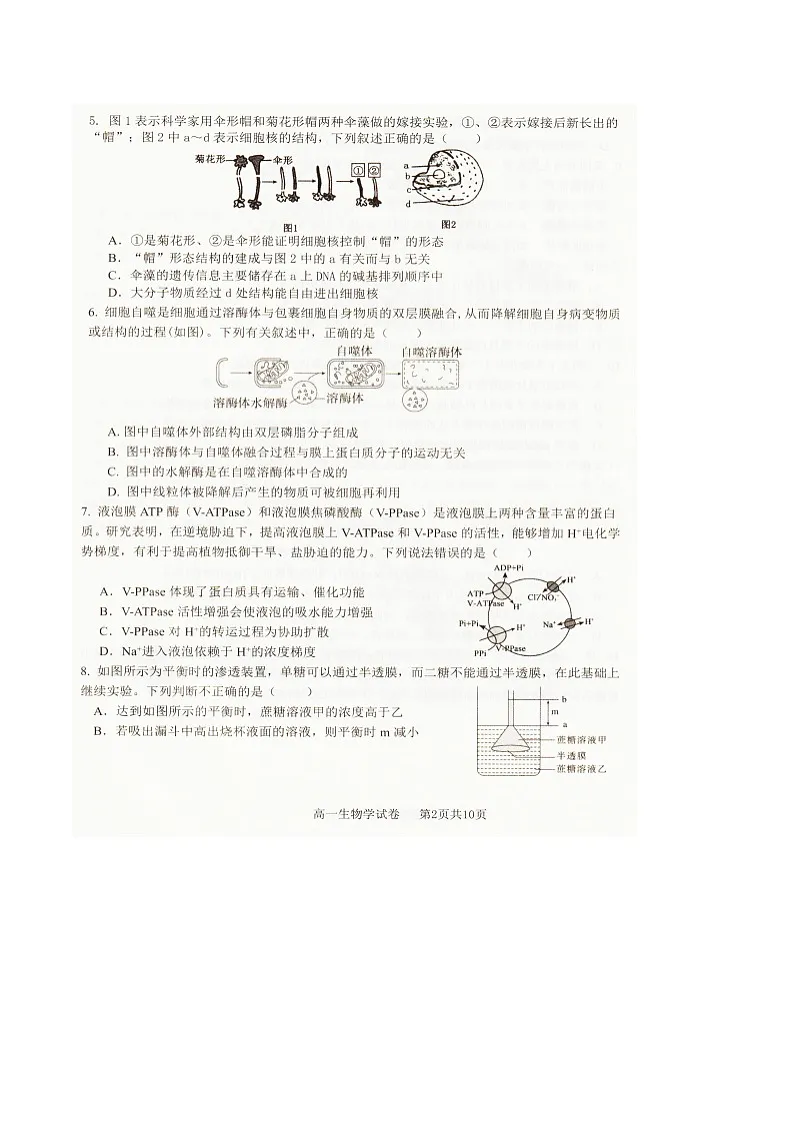 辽宁省抚顺市六所名校2025-2026学年高一上学期1月期末联考试题 生物(含答案)第2页