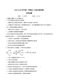 内蒙古鄂尔多斯市第一中学2026届高三上学期12月月考生物试卷（Word版附答案）