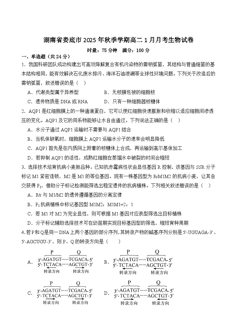 湖南省娄底市重点高中2025-2026学年高二上学期1月月考试卷 生物(含答案)第1页