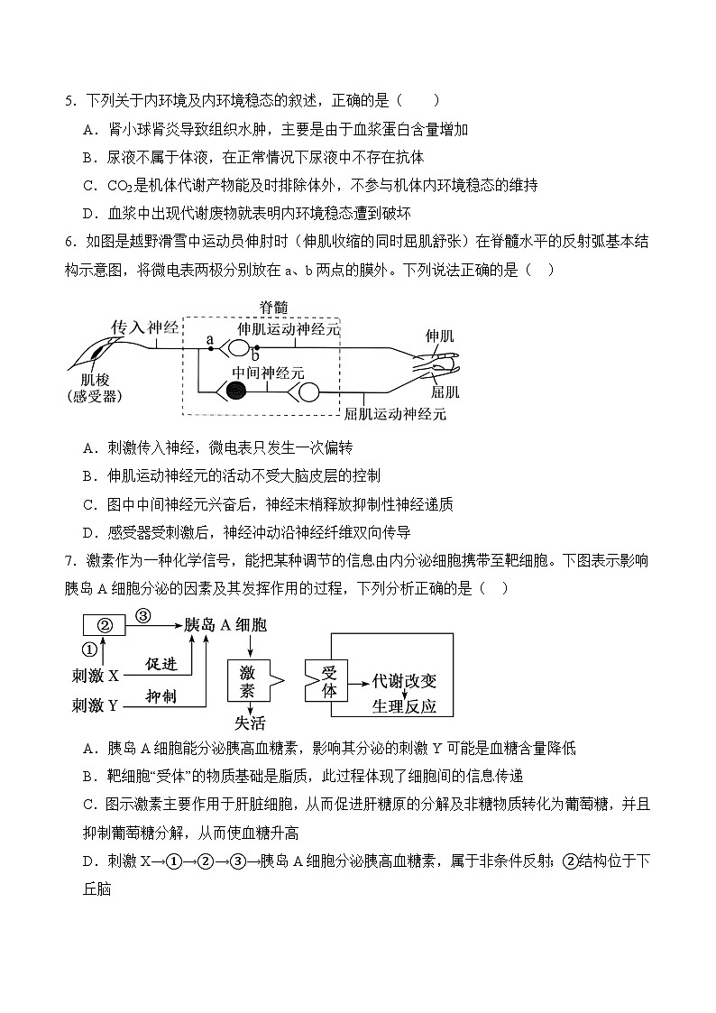 湖南省娄底市重点高中2025-2026学年高二上学期1月月考试卷 生物(含答案)第2页