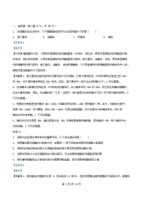 四川省内江市2026届高三生物上学期期中测试试题含解析