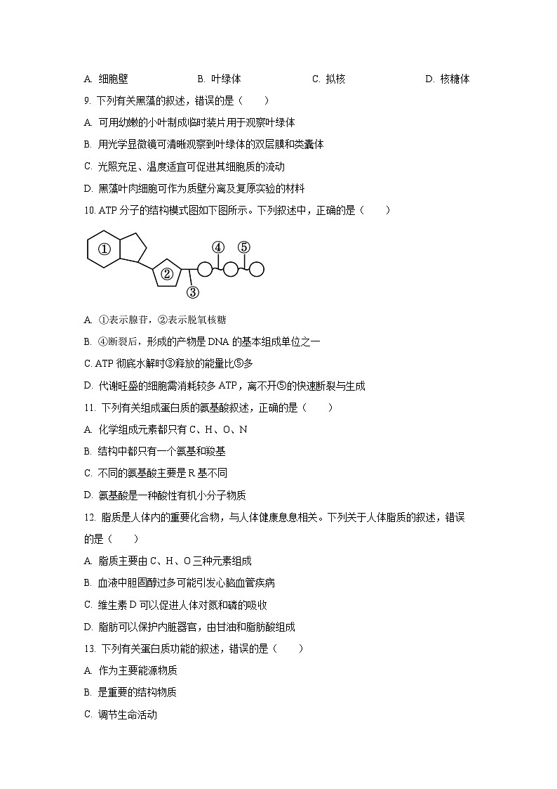 2025-2026学年浙江省强基联盟高一上学期11月期中生物试卷(学生版)第2页