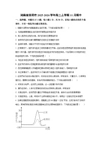 2025-2026学年河南省洛阳市高二上学期11月期中生物试卷（学生版）