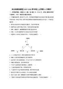 2025-2026学年河北省雄安新区高二上学期11月期中生物试卷(学生版)