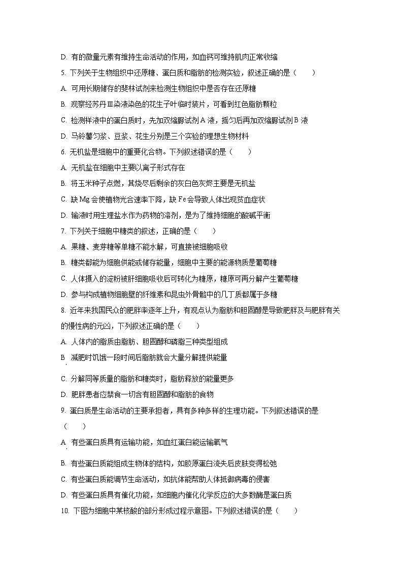 2025-2026学年河北省沧州市泊头市八县联考高一上学期11月期中生物试卷(学生版)第2页