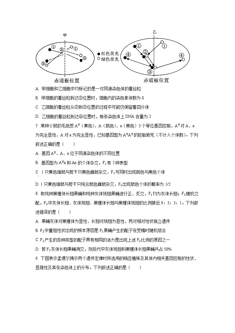 2025-2026学年河北省保定市五校高一上学期11月期中生物试卷(学生版)第3页