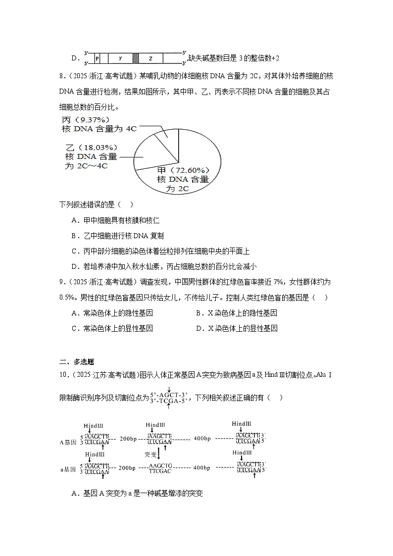2025年高考生物试题分类汇编 专题07 生物的变异与进化第3页