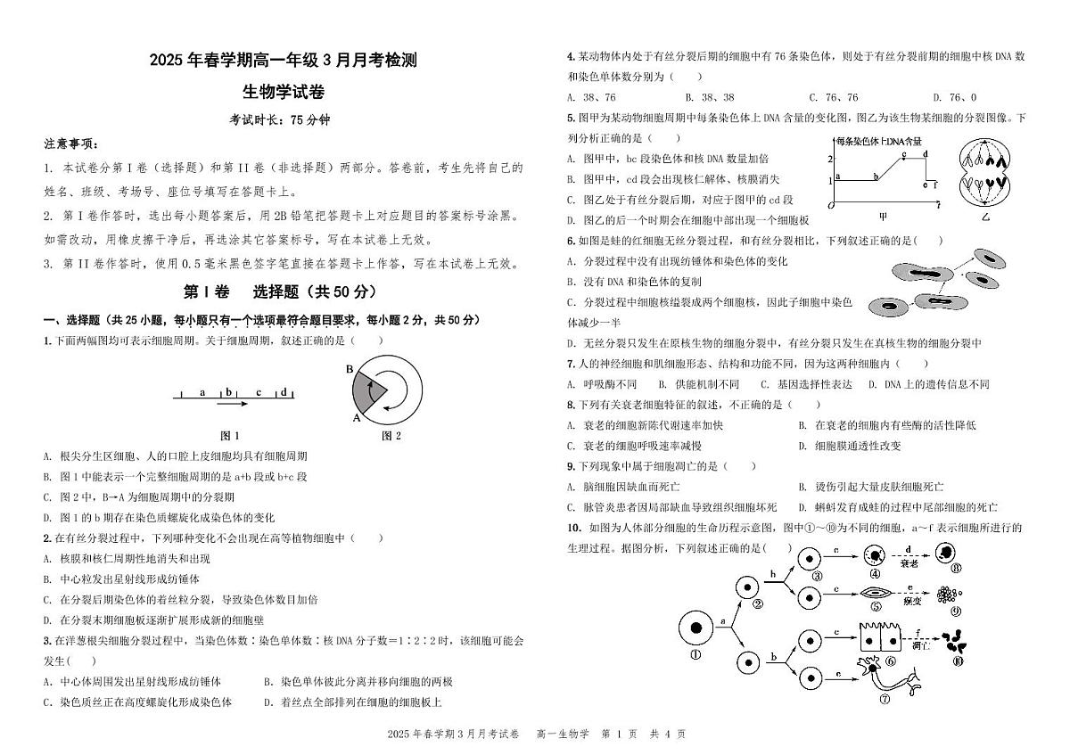 甘肃省张掖市某校2024-2025学年高一下学期3月月考检测生物试卷第1页