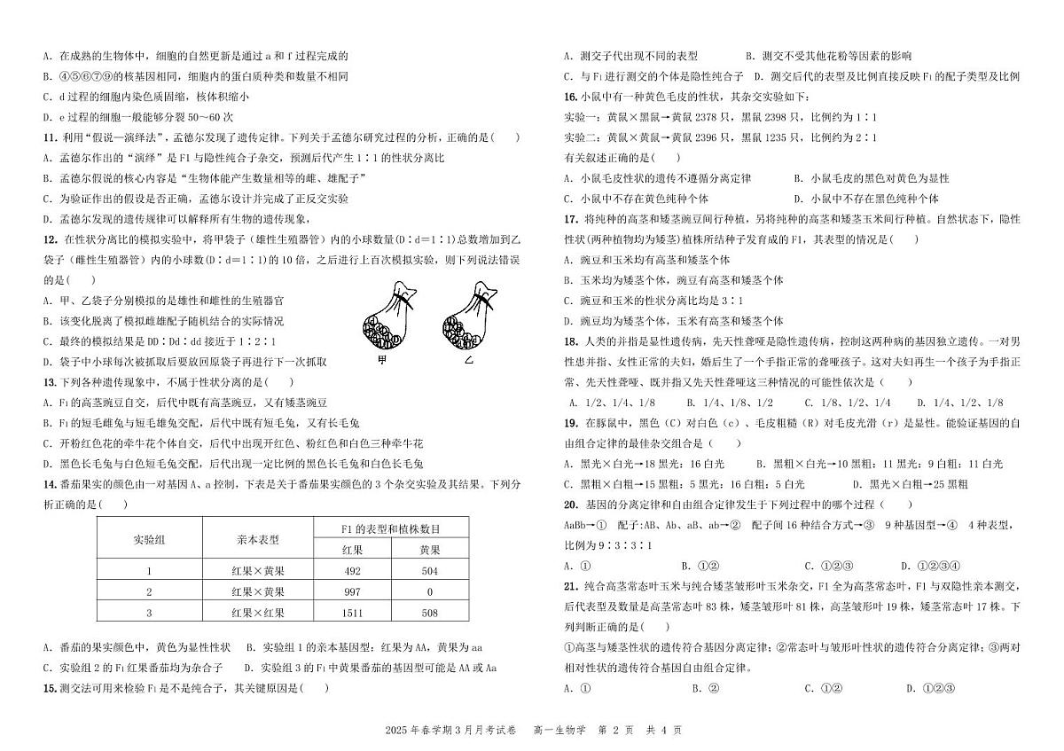 甘肃省张掖市某校2024-2025学年高一下学期3月月考检测生物试卷第2页