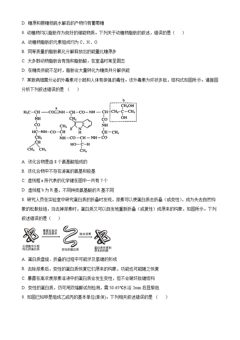 精品解析:福建省三明市第一中学2024-2025学年高一上学期11月期中生物试题(原卷版)第2页