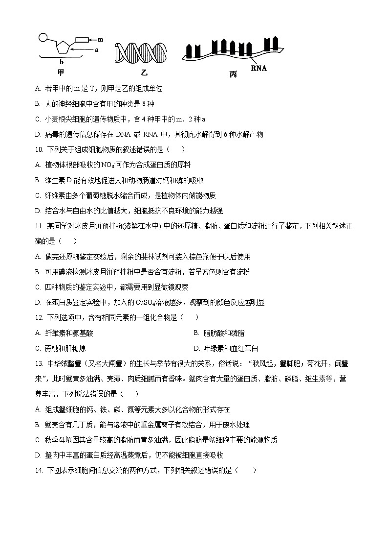 精品解析:福建省三明市第一中学2024-2025学年高一上学期11月期中生物试题(原卷版)第3页