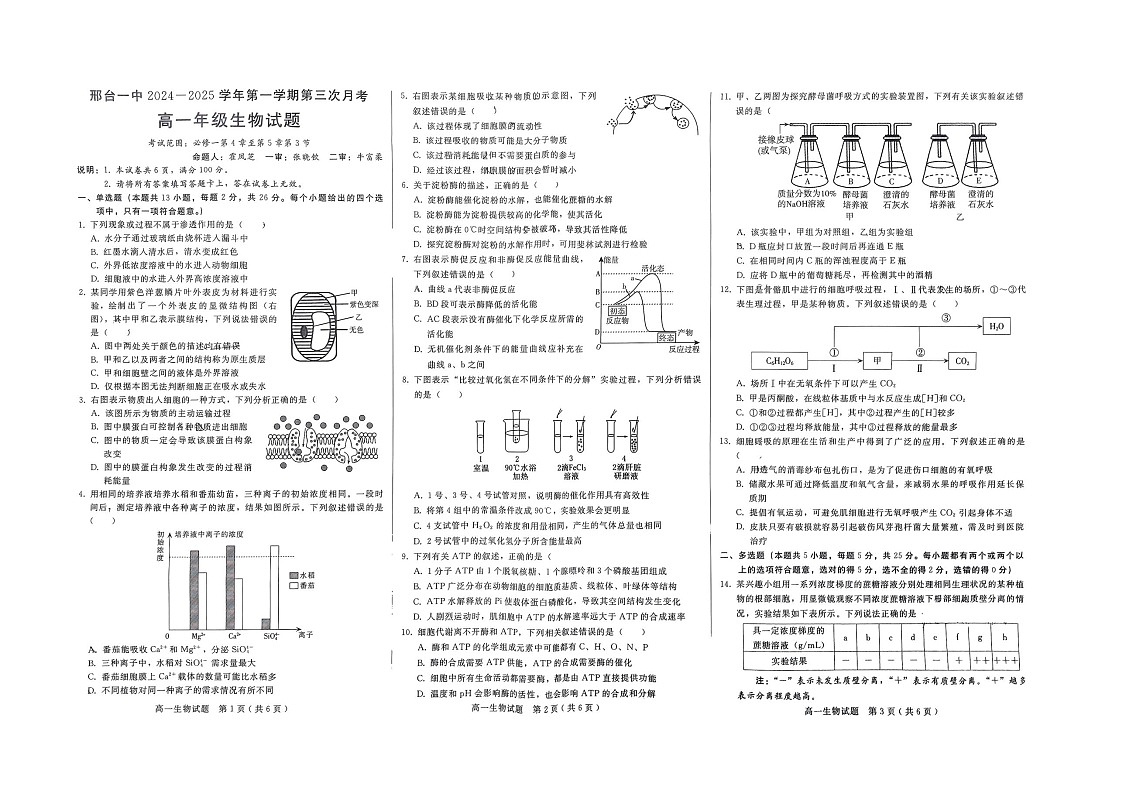 河北省邢台市信都区邢台市第一中学2024-2025学年高一上学期11月月考试题生物试卷第1页