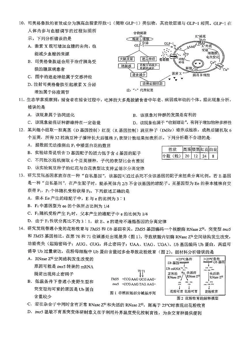 生物-重庆市康德普通高中2026高考模拟调研卷(二)试卷及答案第3页
