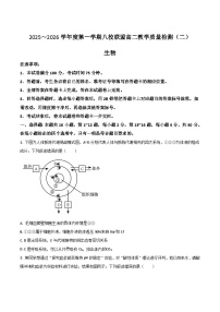 广东省八校联盟2025-2026学年高二上学期教学质量检测（二）生物试卷（Word版附答案）