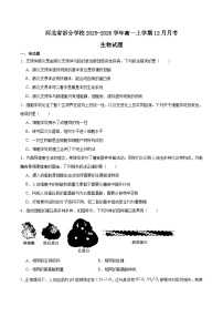 河北省部分学校2025-2026学年高一上学期12月联考生物试卷（Word版附答案）
