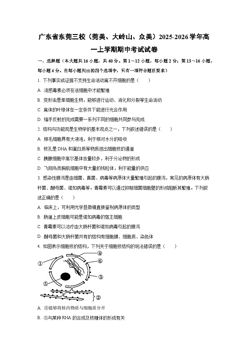 2025-2026学年广东省东莞三校(莞美、大岭山、众美)高一上学期期中考试生物试卷(学生版)第1页