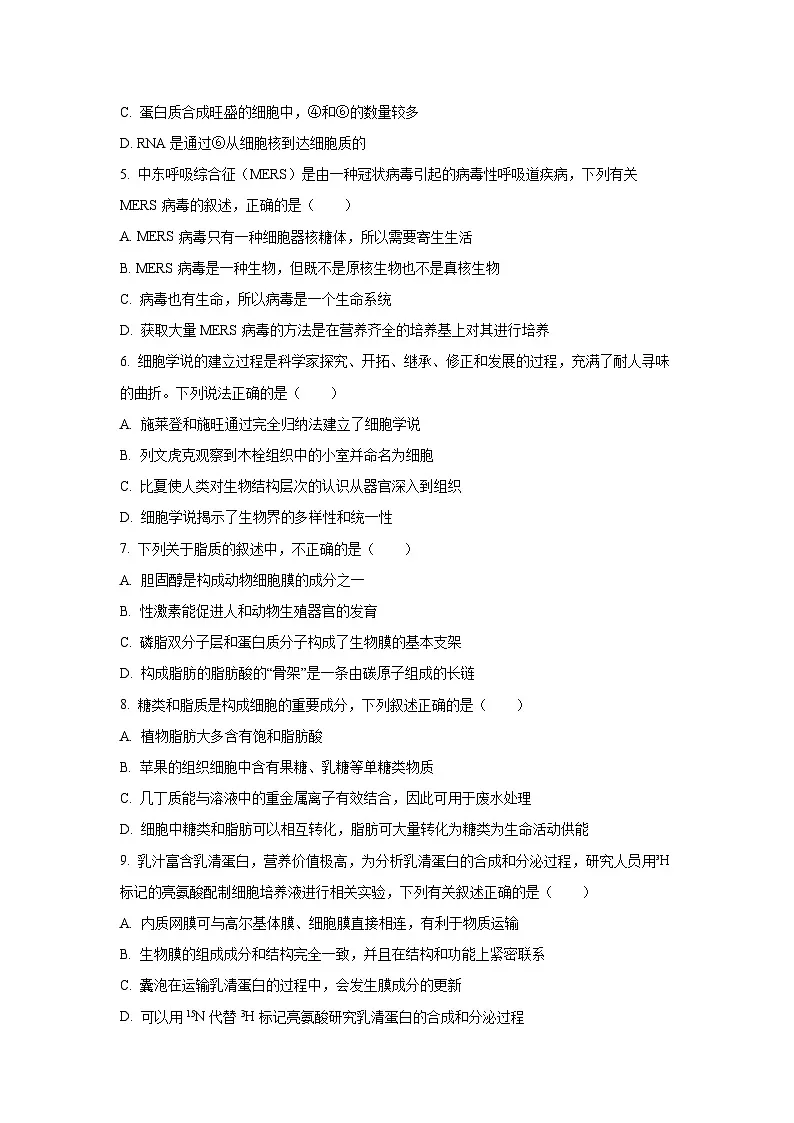 2025-2026学年广东省东莞三校(莞美、大岭山、众美)高一上学期期中考试生物试卷(学生版)第2页