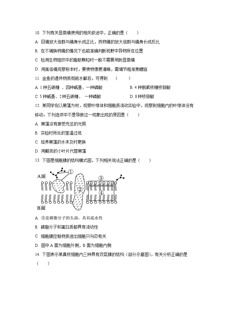 2025-2026学年广东省东莞三校(莞美、大岭山、众美)高一上学期期中考试生物试卷(学生版)第3页