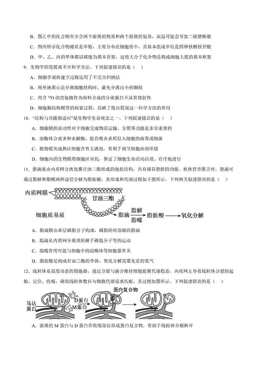 2025-2026学年安徽省鼎尖名校大联考高一上学期期中考试生物(A)(含答案)试卷第3页