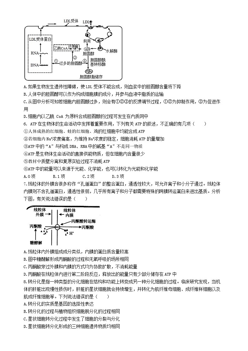 福建省福州市长乐第一中学2023-3024学年高三上学期第一次月考生物试题-A4第2页
