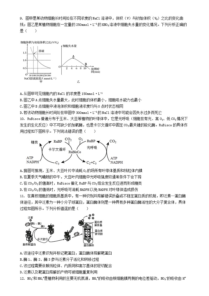 福建省福州市长乐第一中学2023-3024学年高三上学期第一次月考生物试题-A4第3页